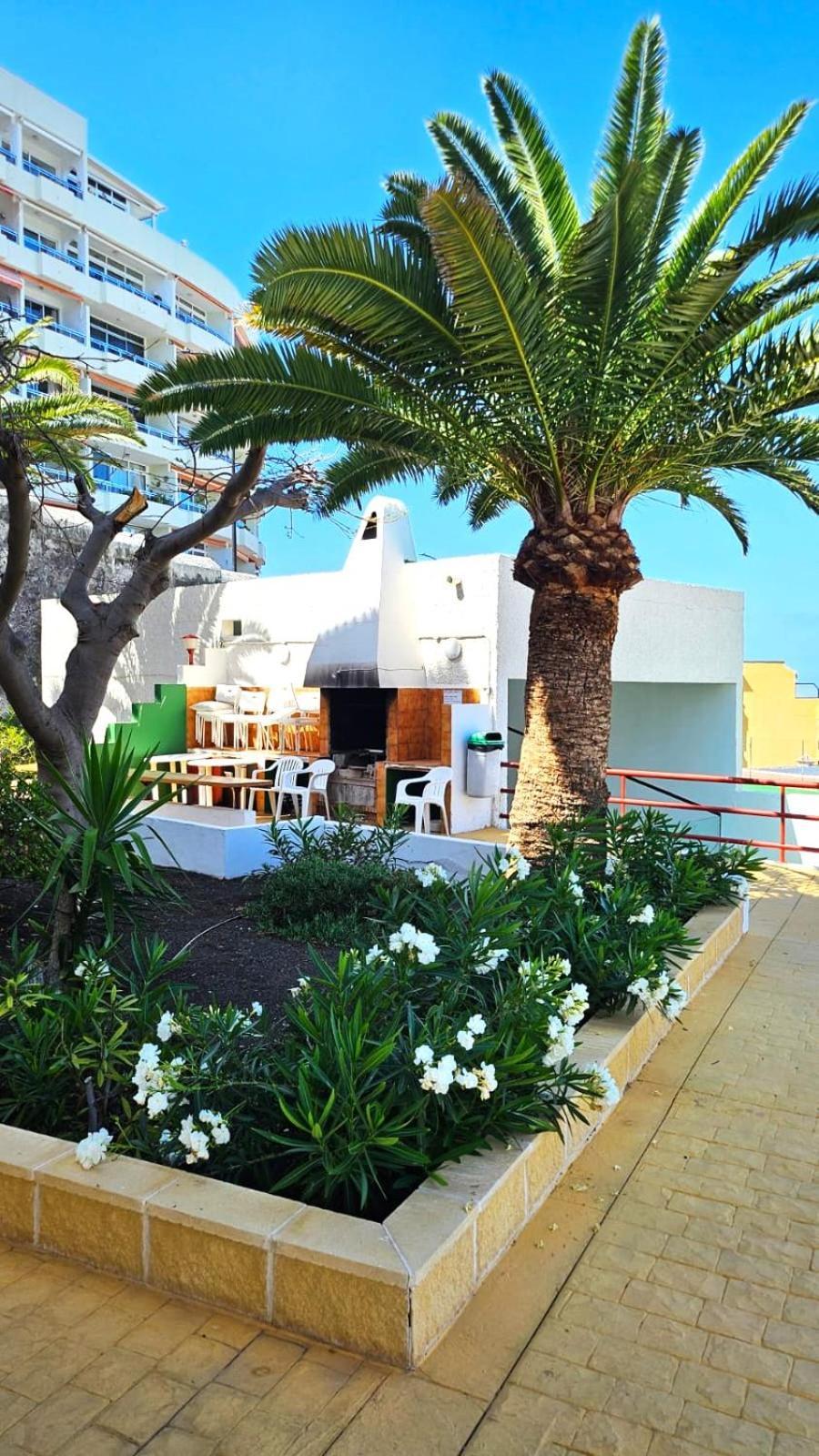 Апартаменты Playa De La Arena プエルト・デ・サンティアゴ エクステリア 写真